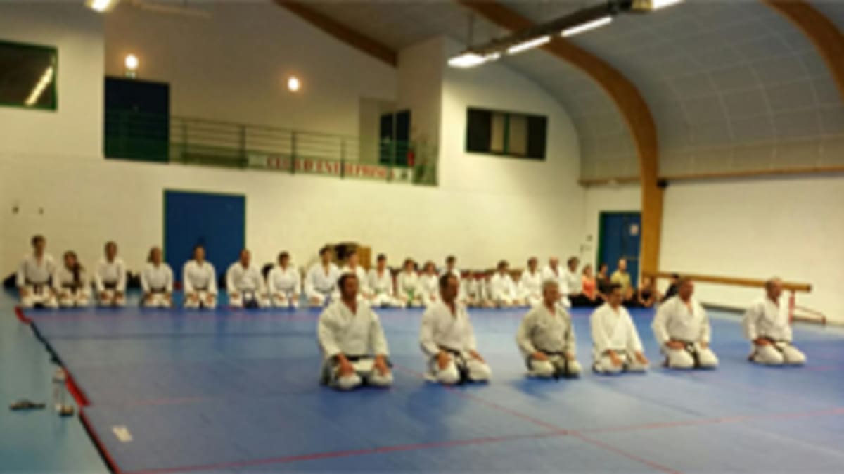 Saintes Karaté Club - Karate a Saintes