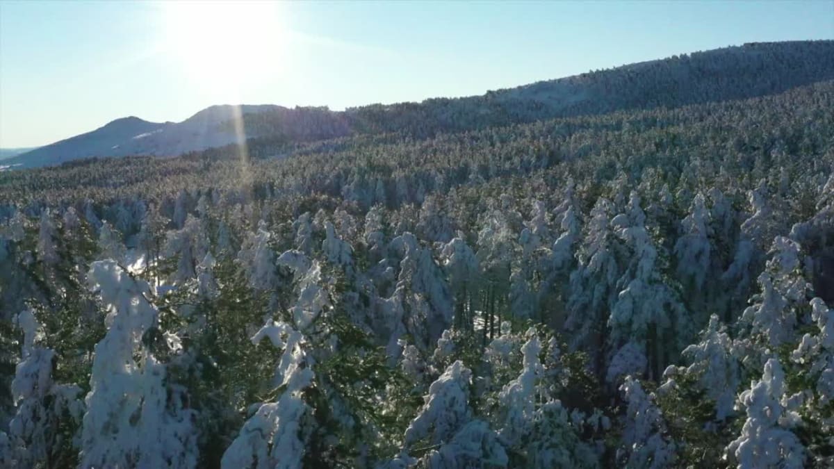 Club de Esqui e Snowboard Manzaneda - Ski a Cabeza de Manzaneda