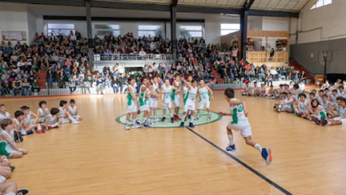 Sferic Bàsquet - Baloncesto in Terrassa