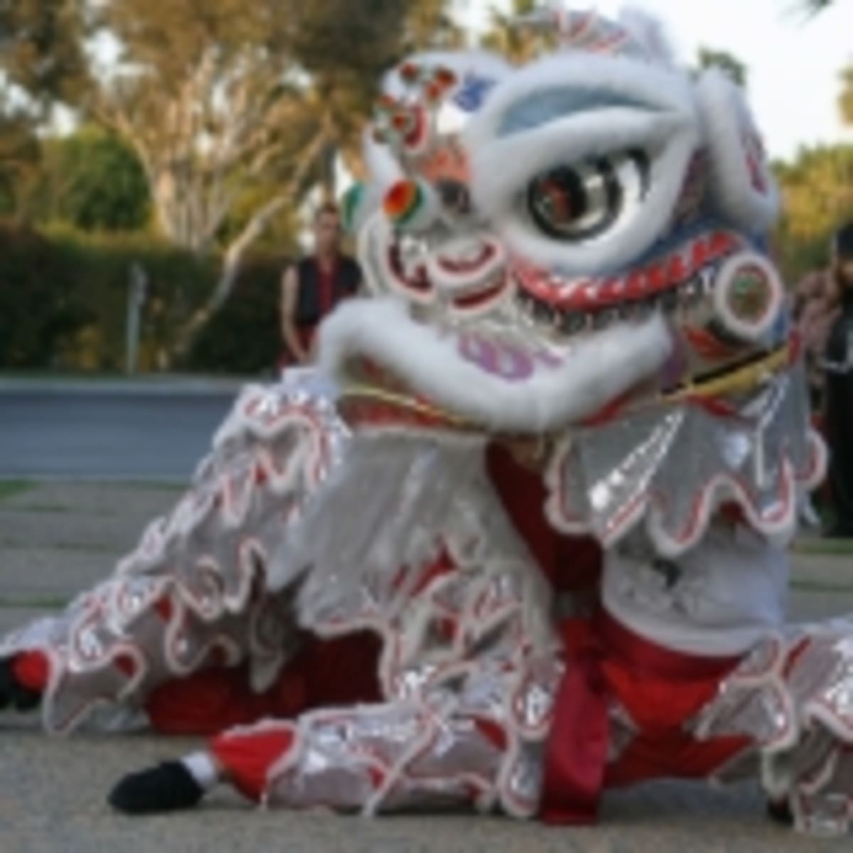 Shaolin Dragon - Karate a Logroño