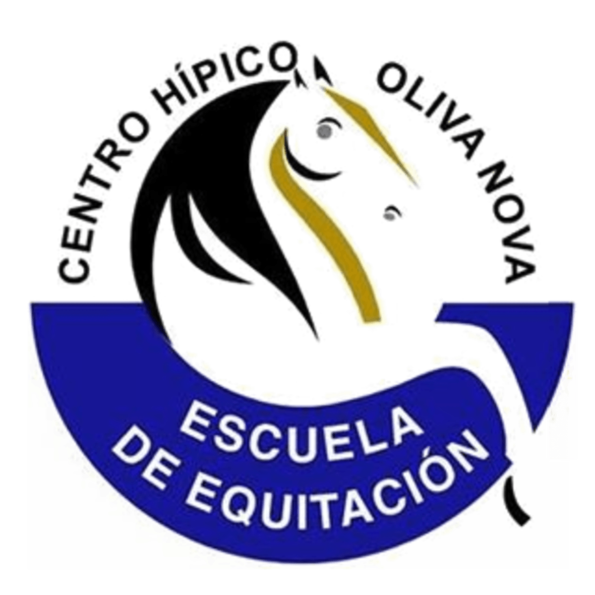 Centro Hipico Oliva - Golf en Oliva