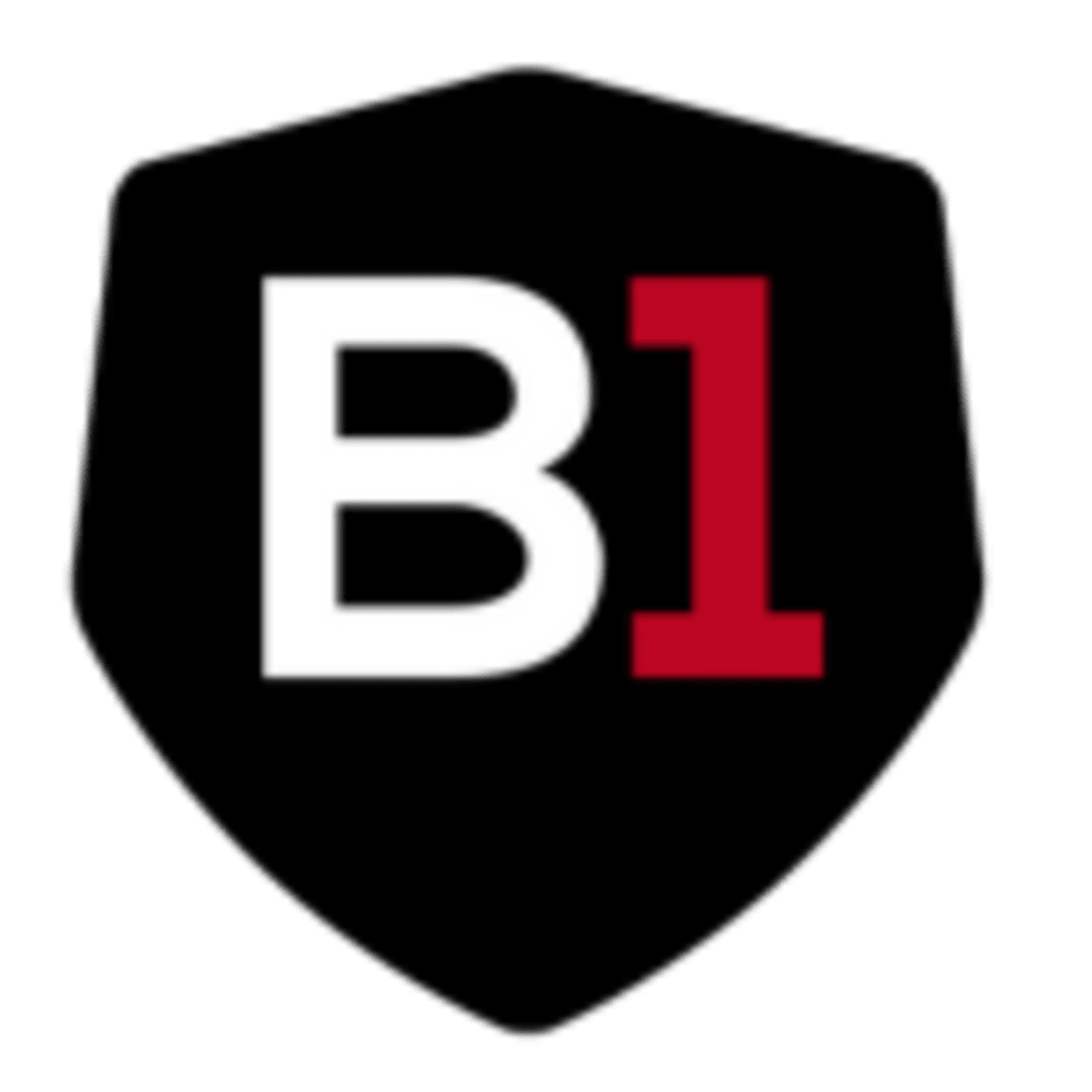 B1 Soccer Academy - Fútbol in Barcelona