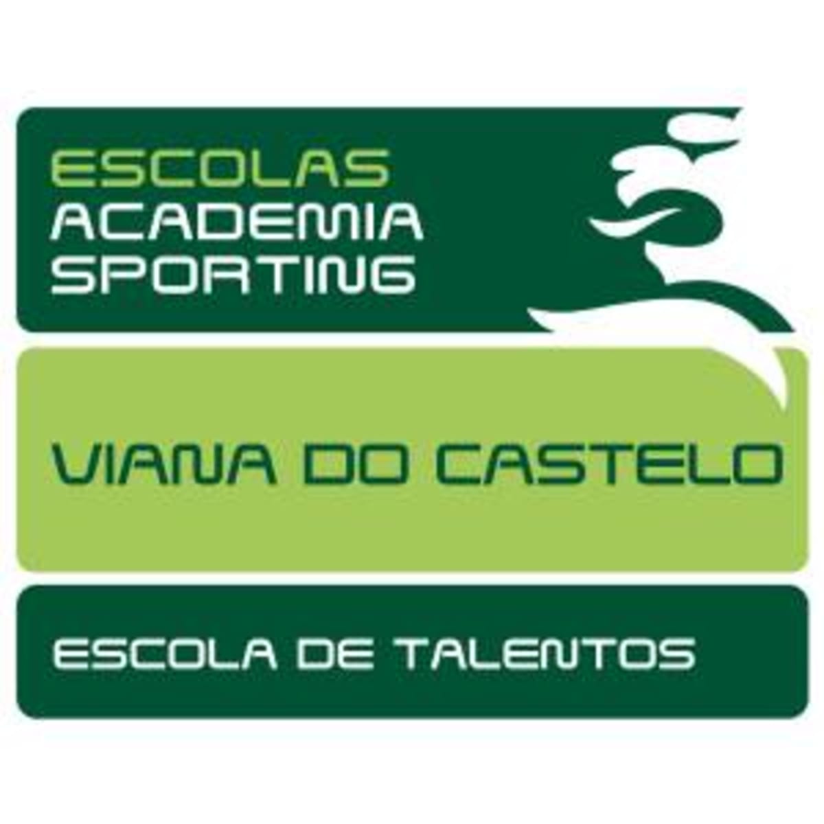 Academia Sporting Viana do Castelo - Fútbol a Viana do Castelo