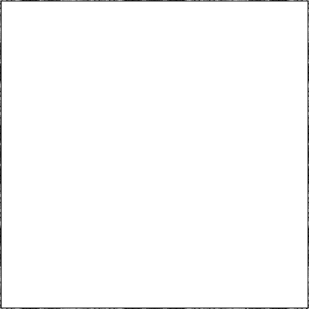 Cai Club. Martial Arts Center - Judo a Algeciras