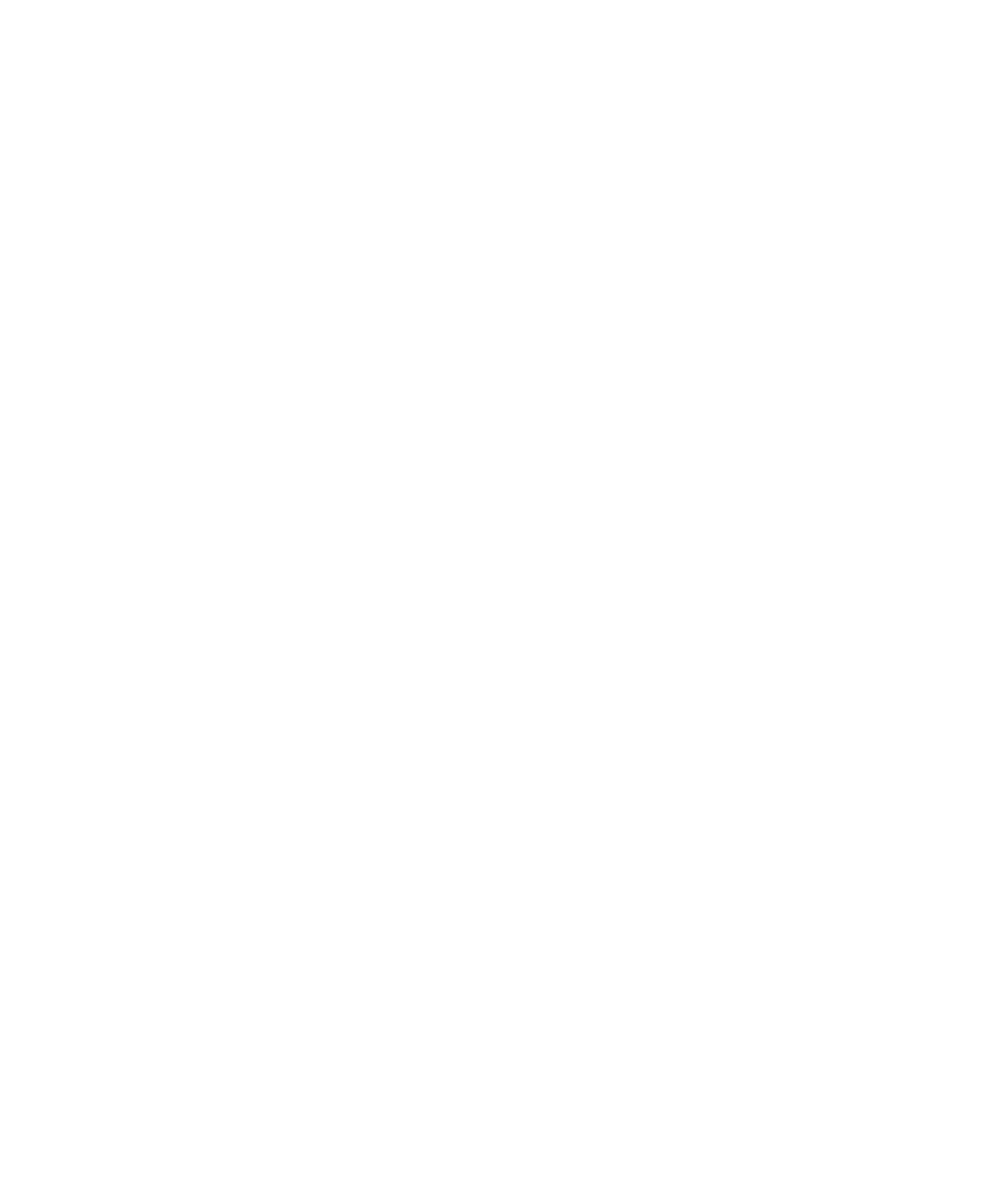 ALPHA Sport - HYROX Training Club - Crossfit en Sevilla