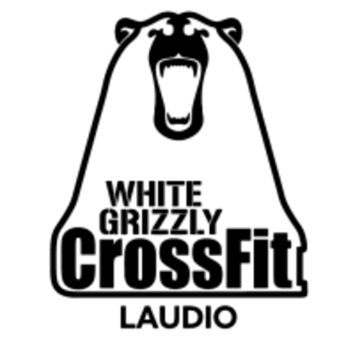 Blue Grizzly Crossfit - Crossfit en Amorebieta