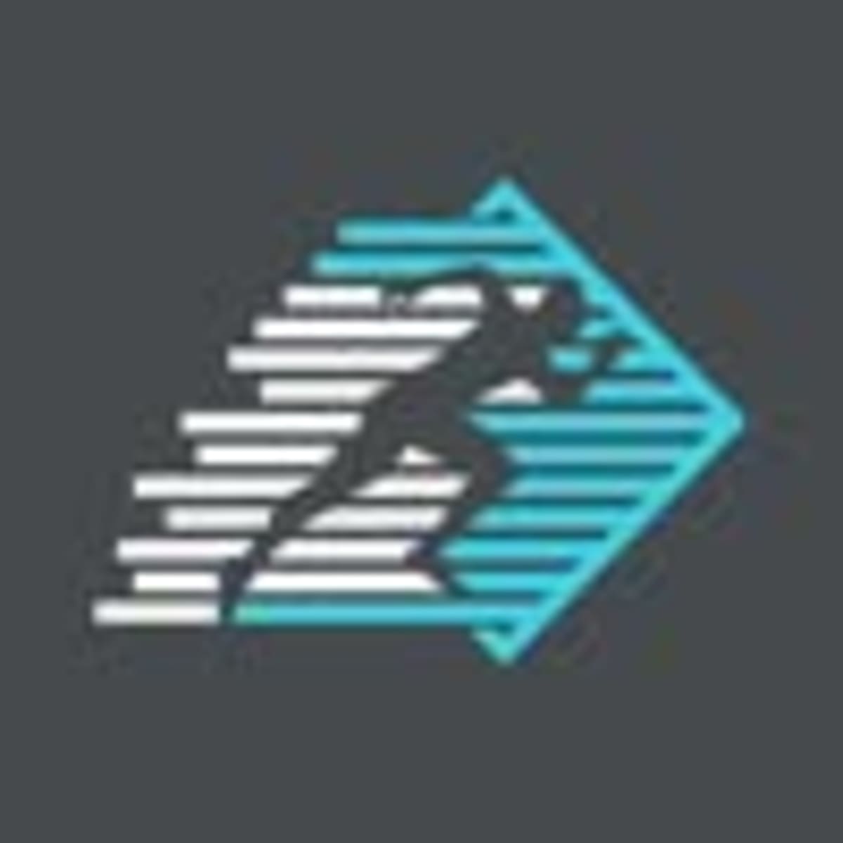 Power gym arena - Crossfit a Golmés