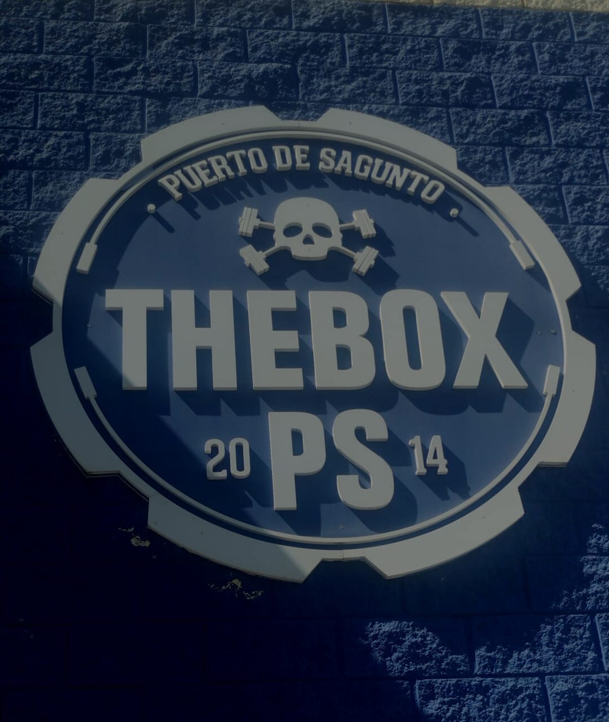 TheBox Port de Sagunt - Crossfit en Sagunto