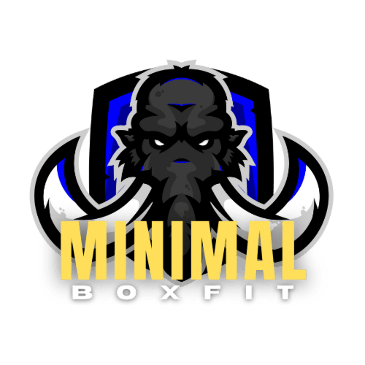 Minimal Boxfit - Crossfit en Parla