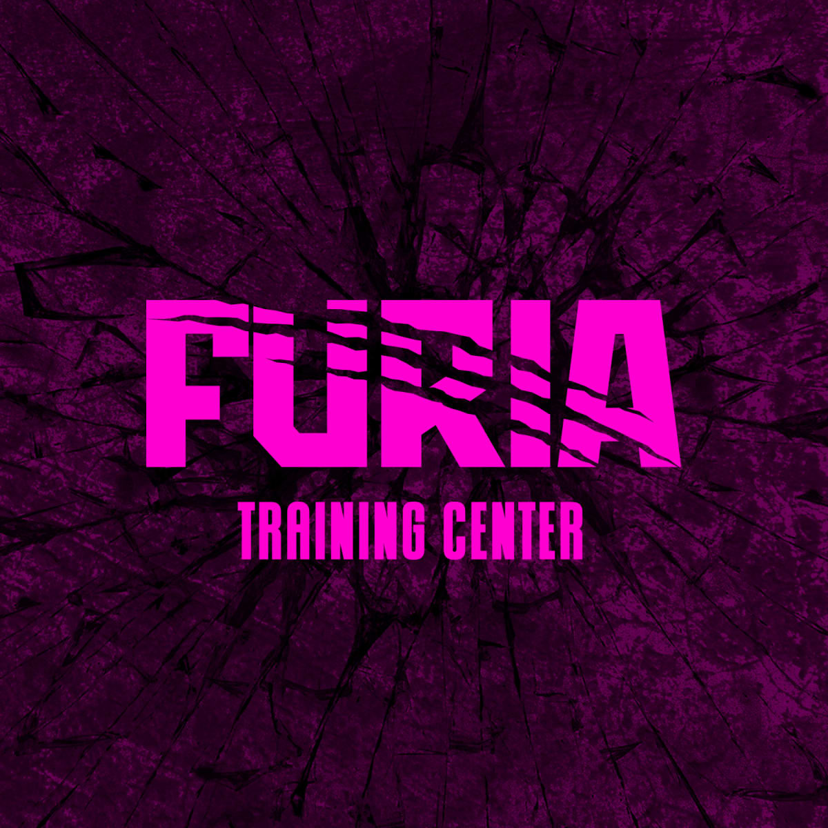 Furia Training Center - Crossfit en Padul