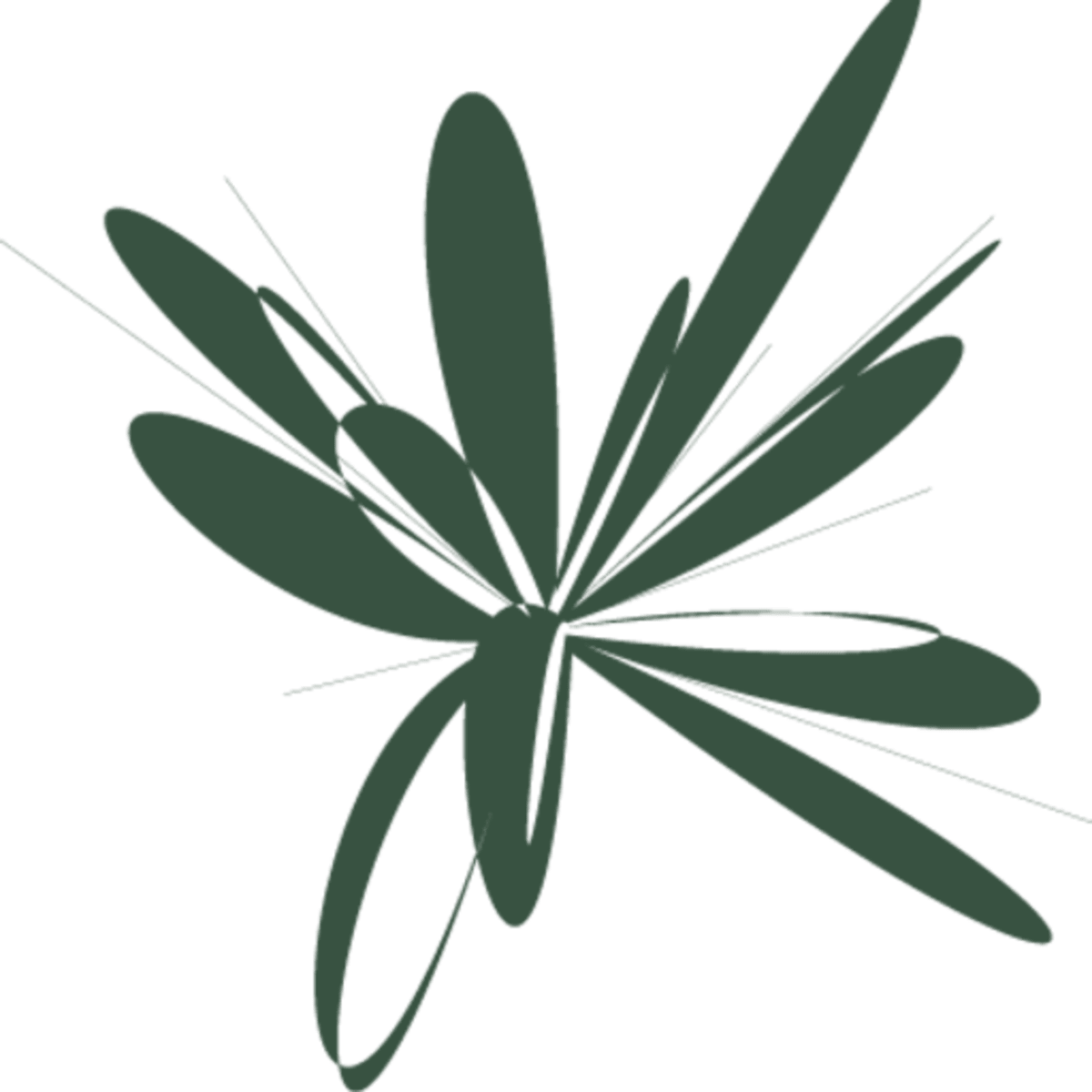 Revive Wellness Hub Salamanca - Crossfit en Madrid