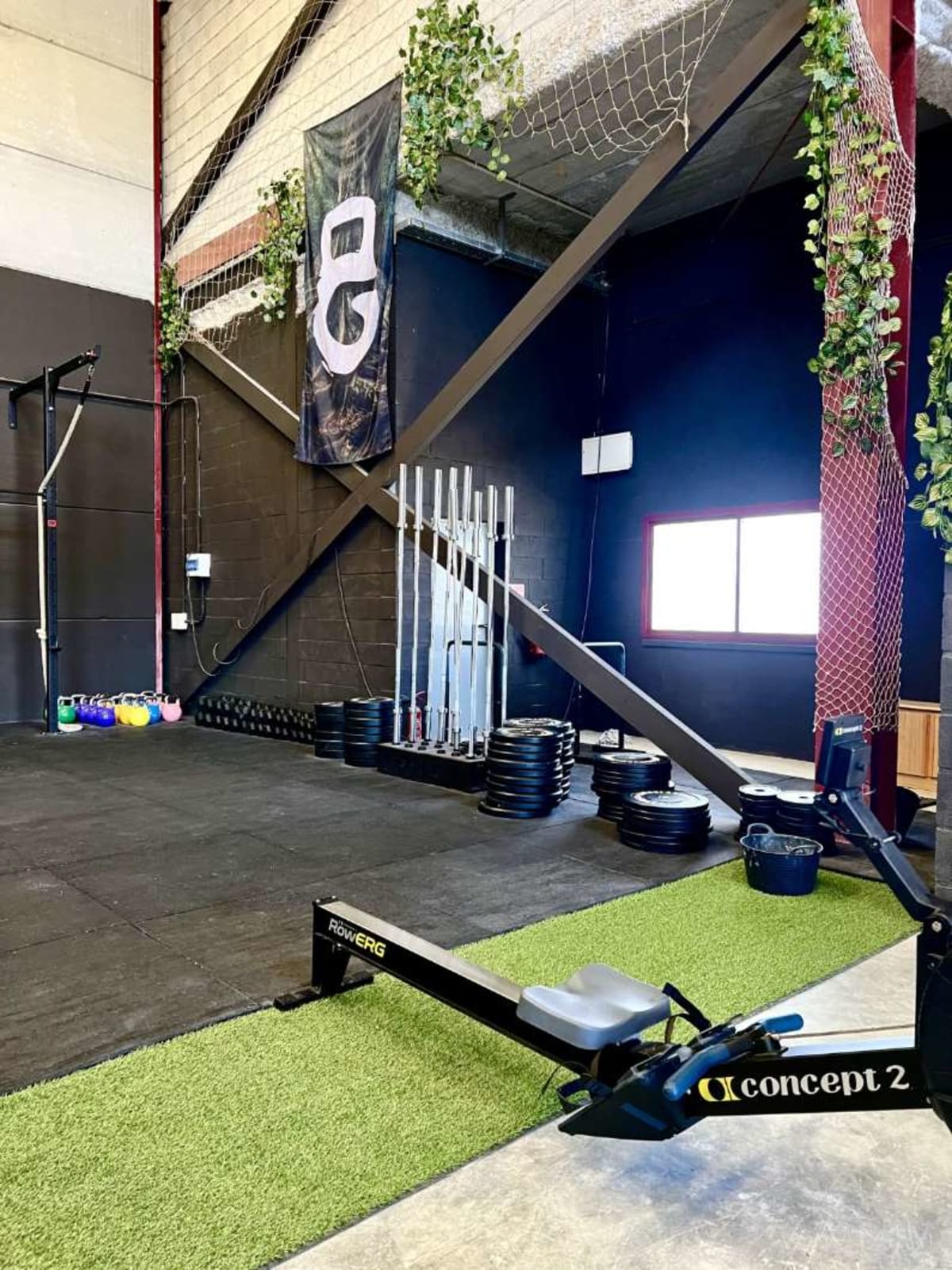 Manglar Box - Crossfit en Málaga