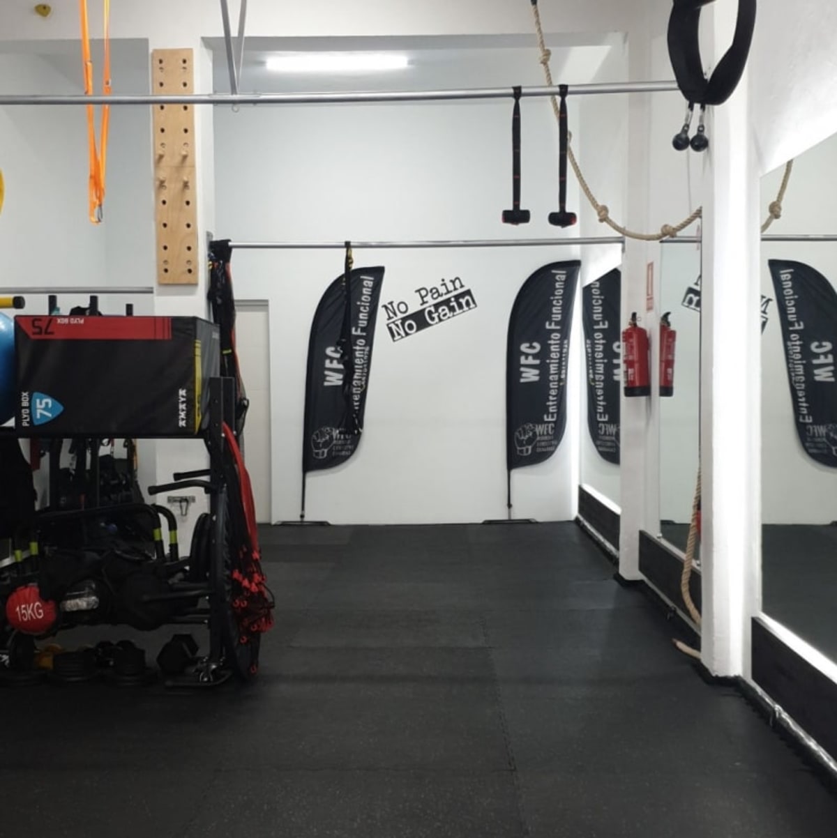 Entrenamiento Funcional WFC - Crossfit en La Laguna