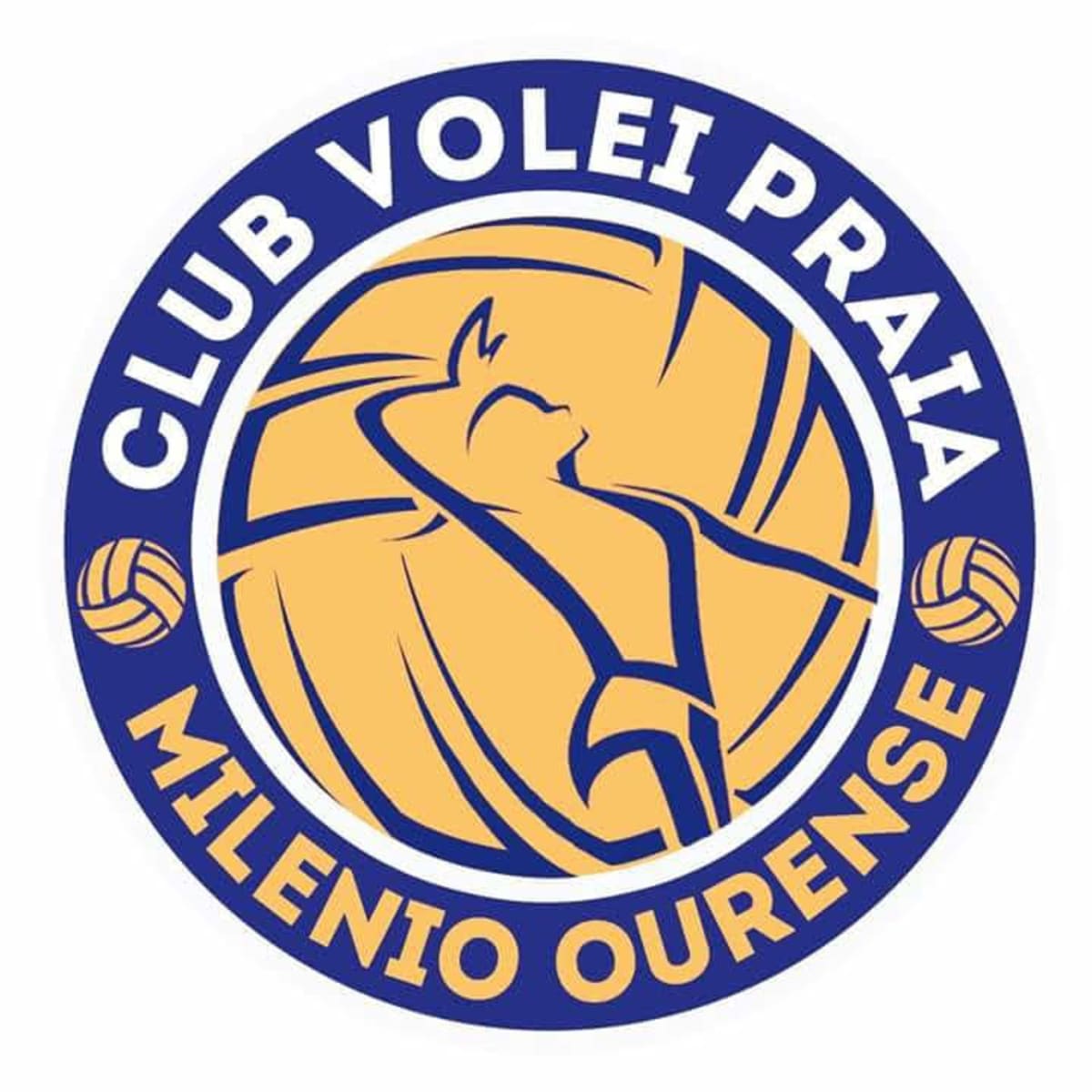 CLUB VOLEY PLAYA MILENIO OURENSE - Voleibol in Ourense