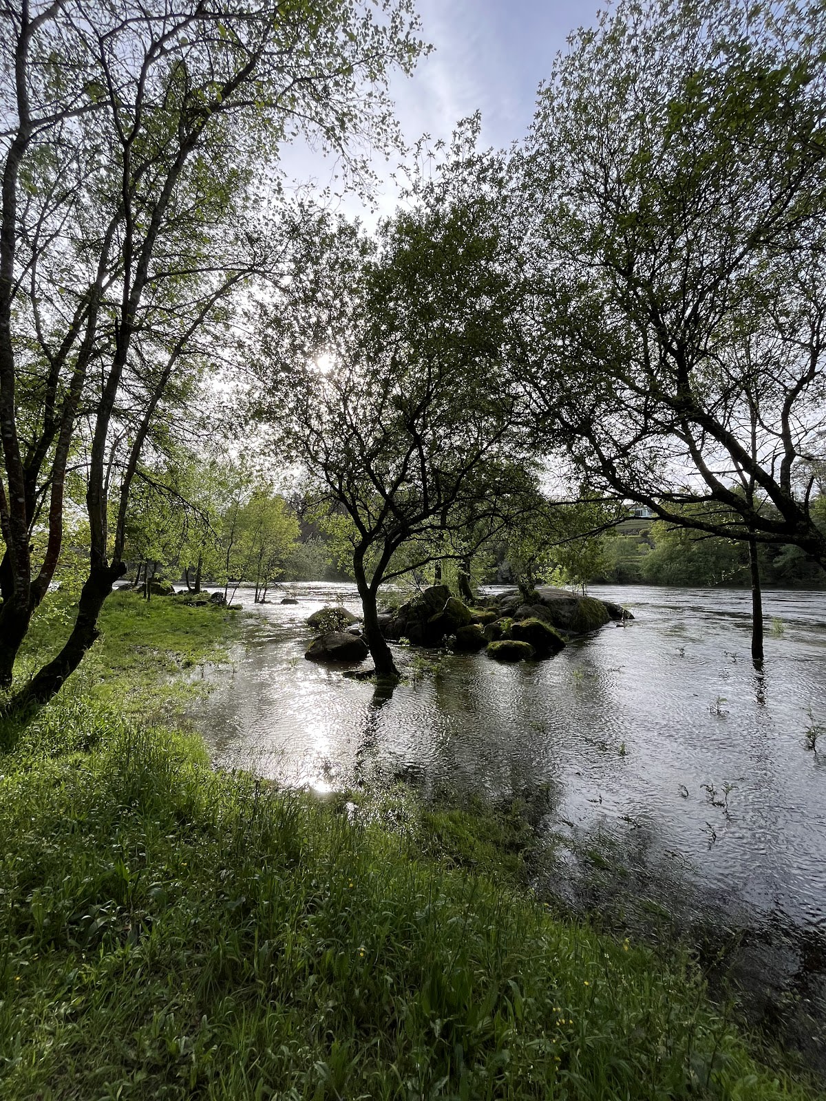 Parque de Merendas das Cucas - Beach_volley in Ribeira