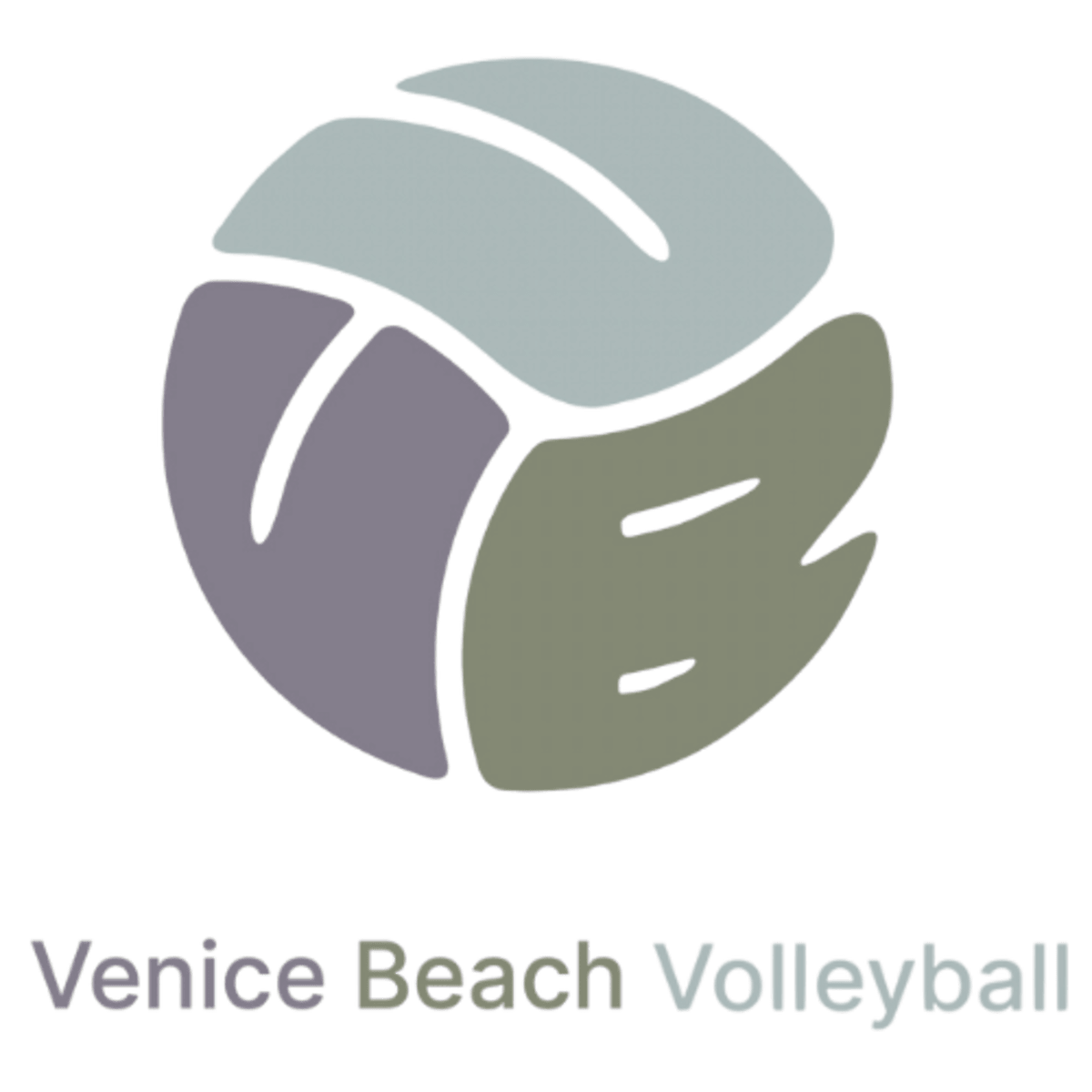 Venice Beach Volleyball - Beach_volley in Marina del Rey