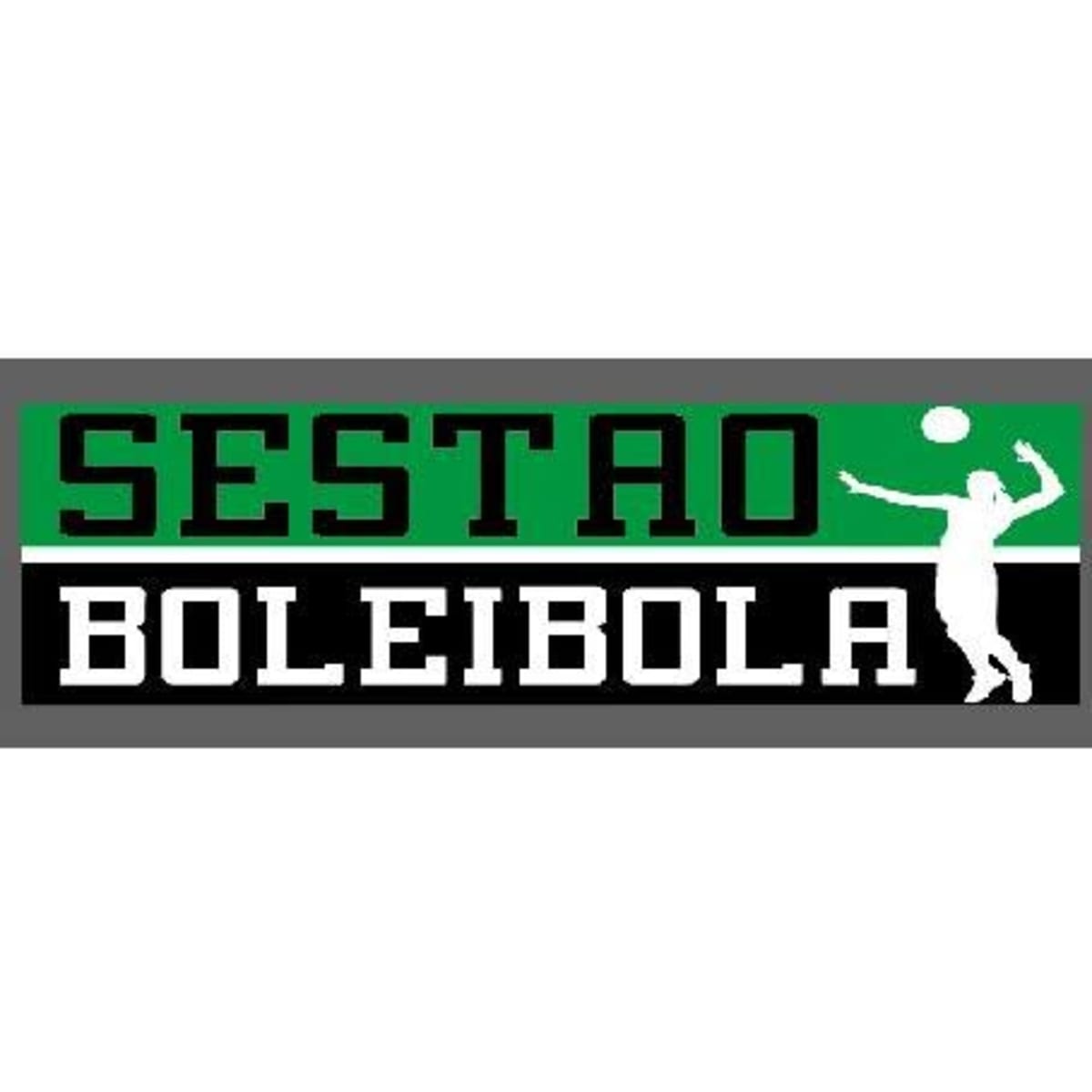 Club Voleibol Sestao - Voleibol in Sestao