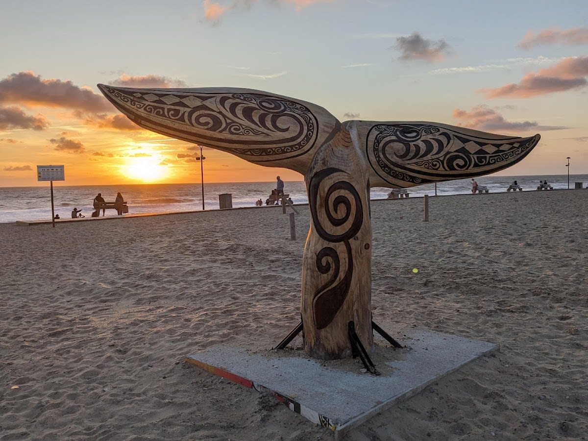 Beachvolleyball Montalivet - Beach_volley en Vendays-Montalivet