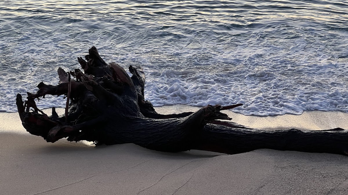 Pistes de Vòlei Platja - Beach_volley in El Prat de Llobregat