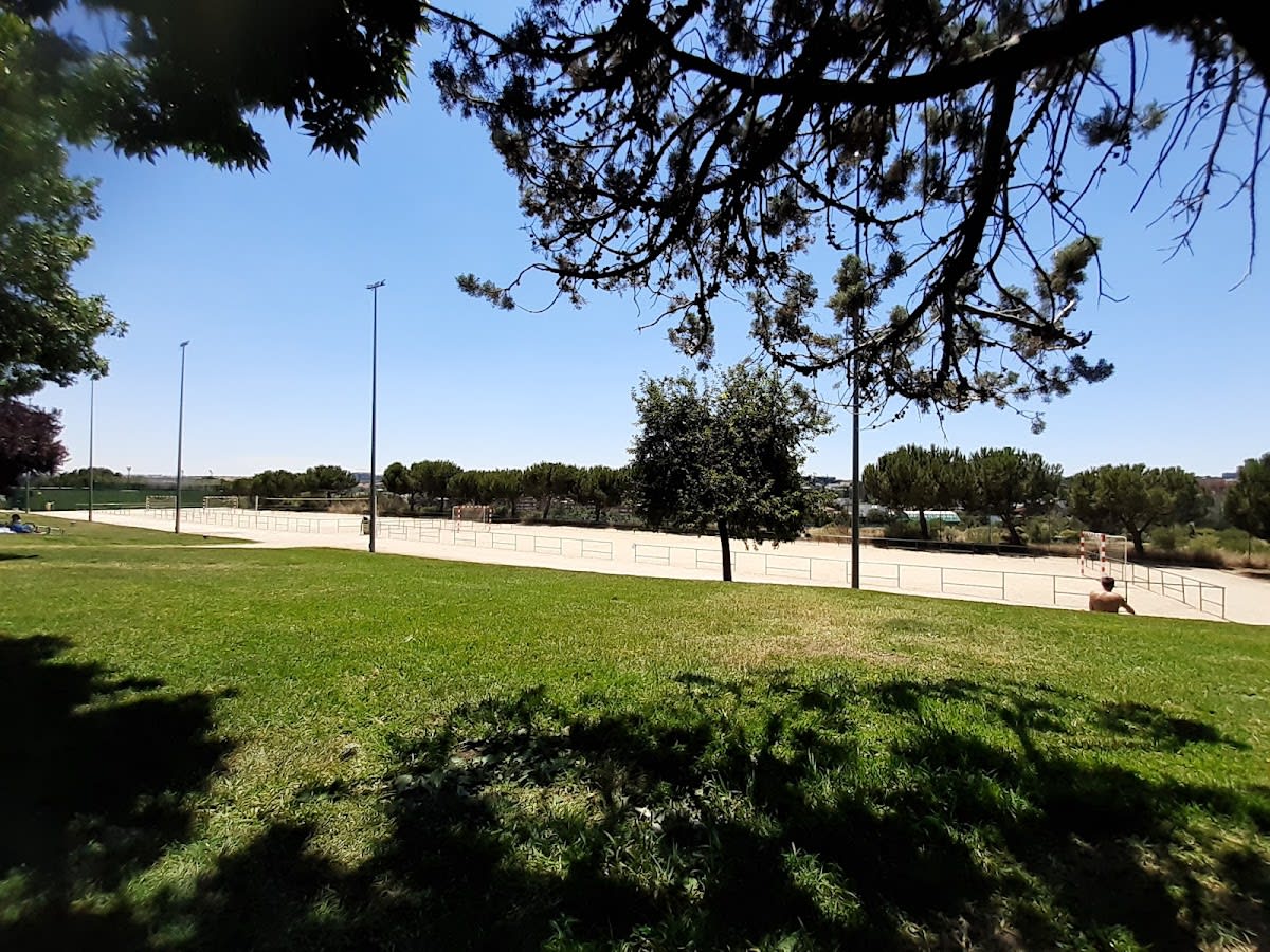 Pista de voleibol - Voleibol en València