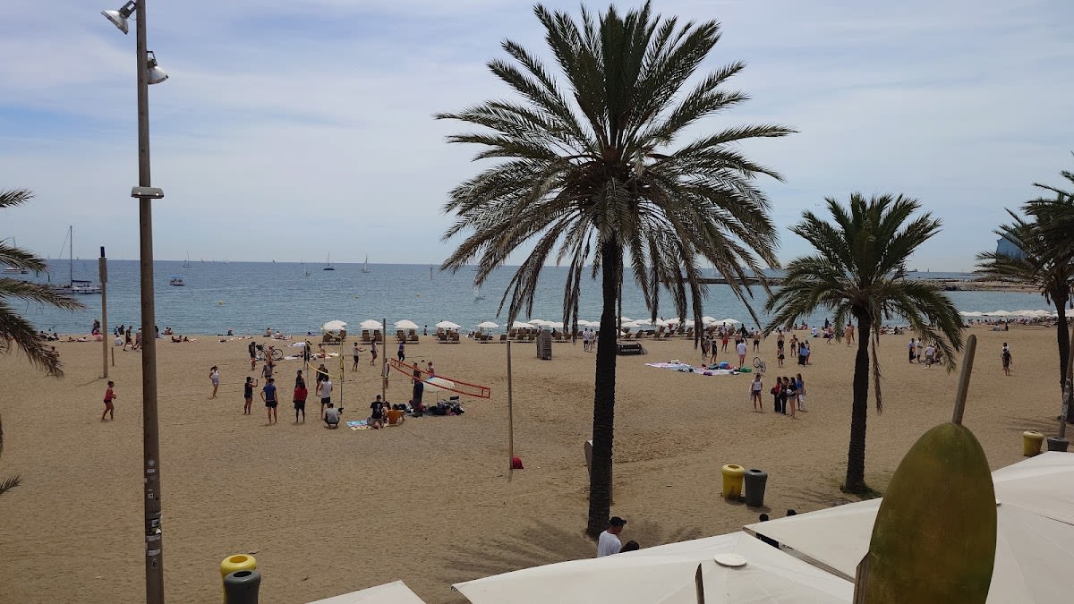 Öffentliches Volleyballfeld Playa Barceloneta - Beach_volley in Barcelona