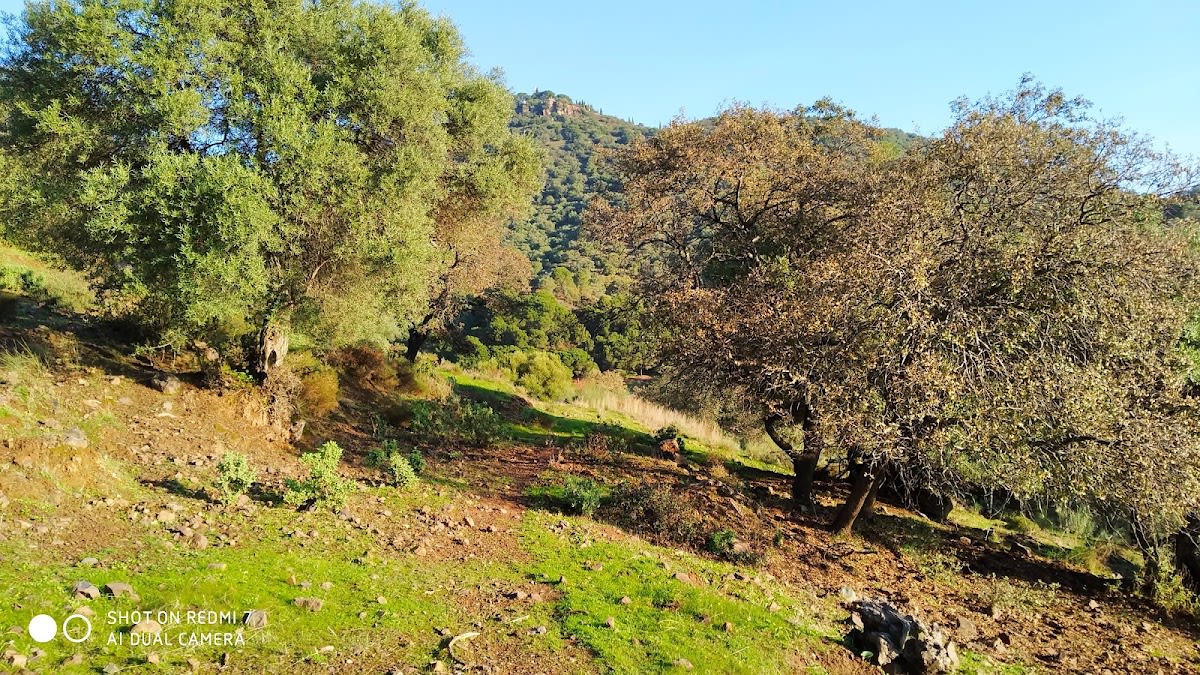 Club Vistasierra - Tenis en Córdoba