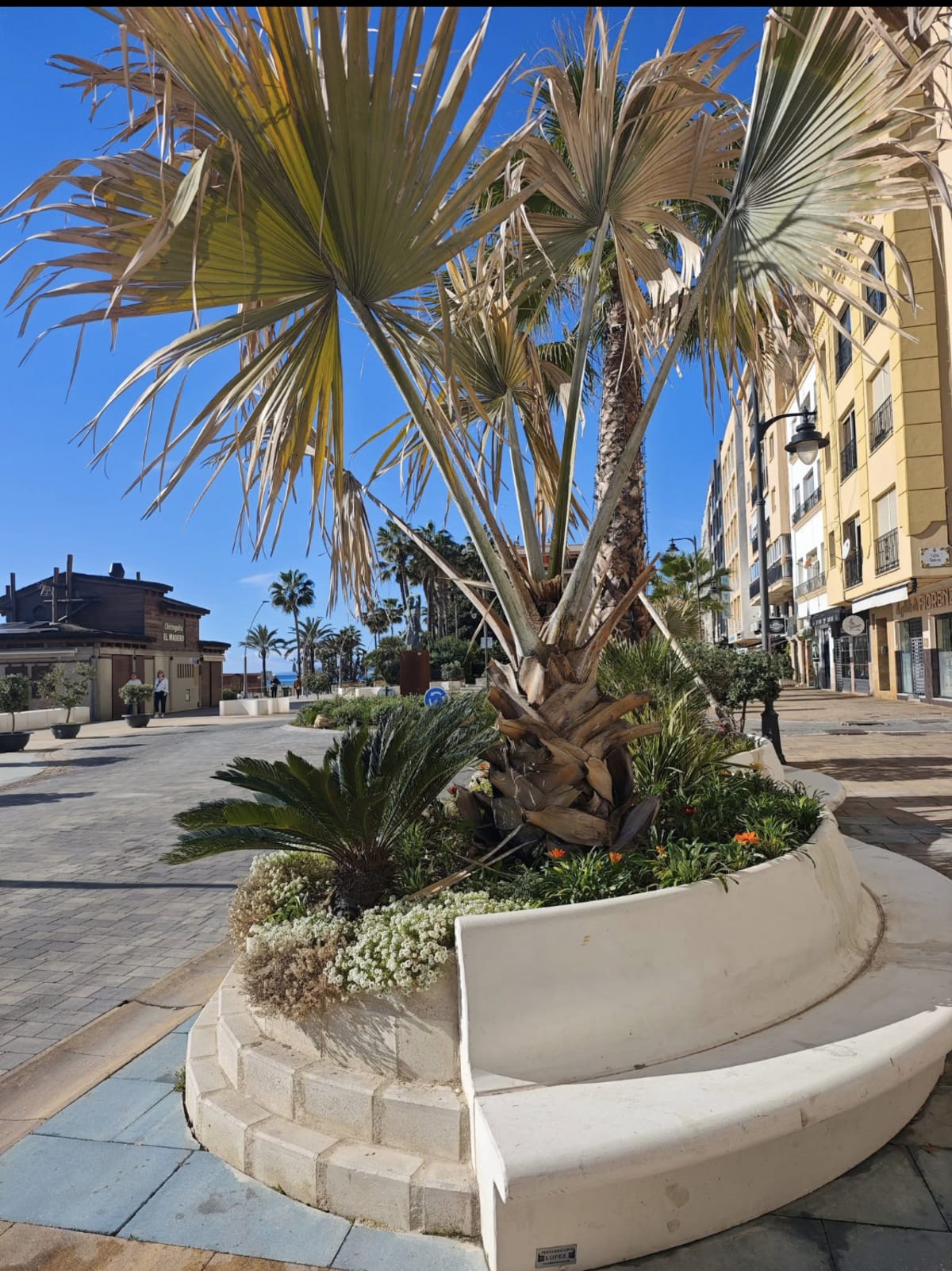 avenida españa - Beach_volley in Estepona