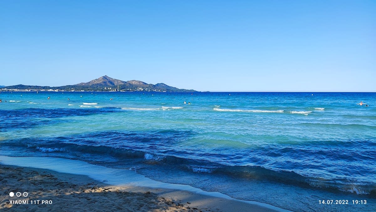 Platja d'Alcúdia - Beach_volley in Alcúdia