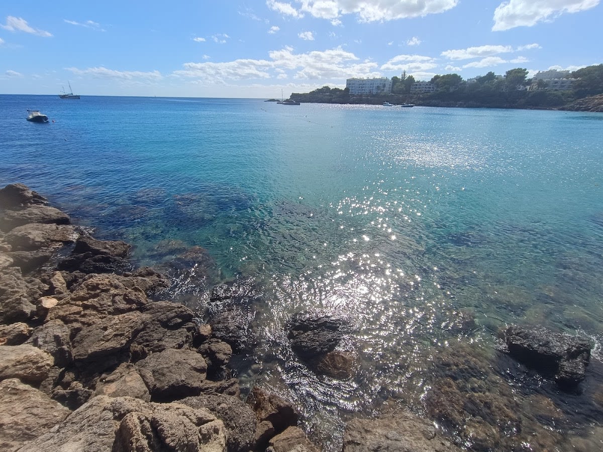 Cala Llenya - Beach_volley in Santa Eulària des Riu