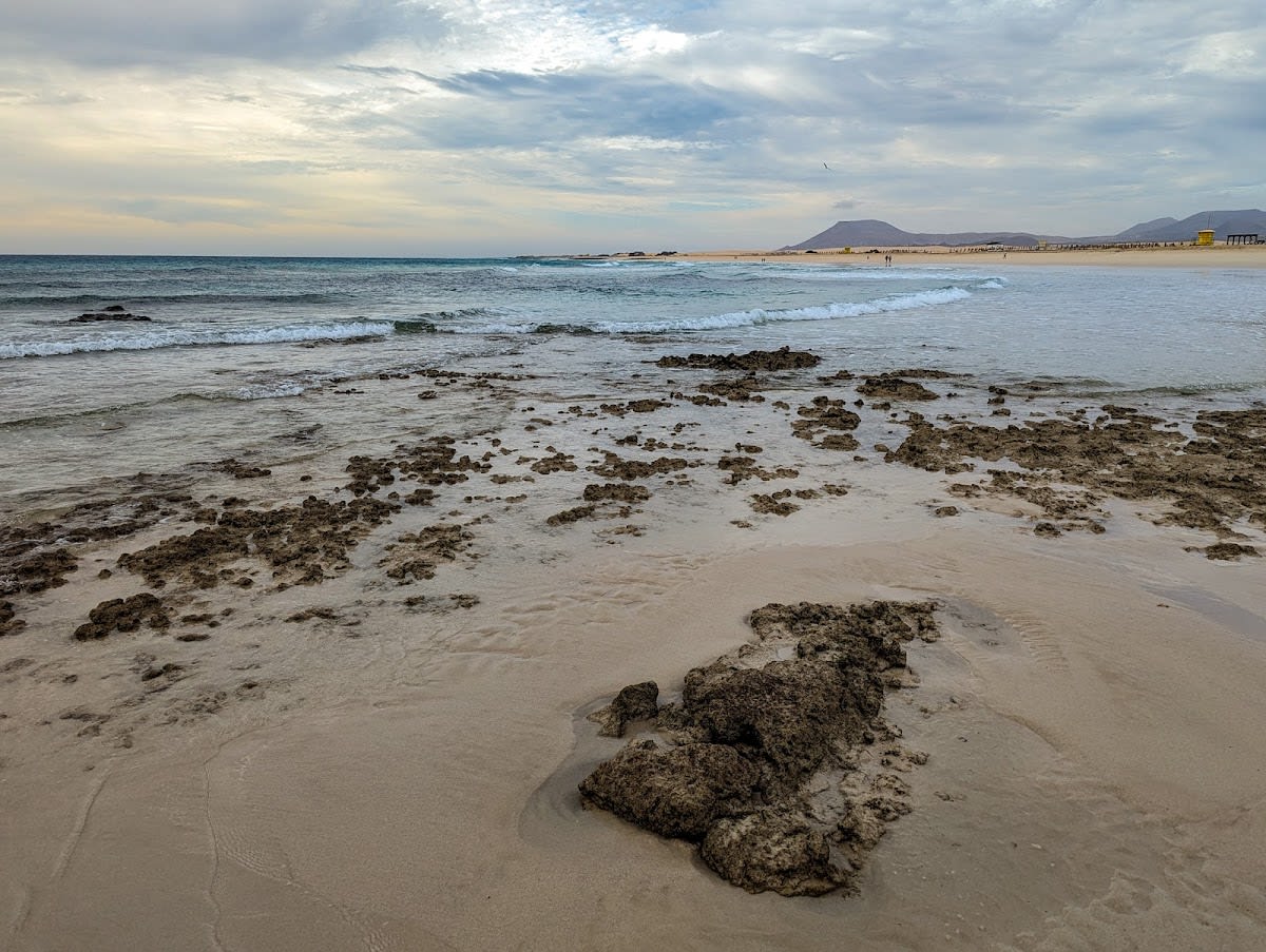 Beaches of Corralejo - Beach_volley in La Oliva