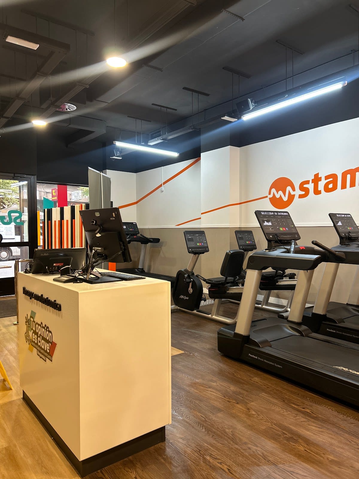 Synergym Ourense Progreso - Natacion en Ourense