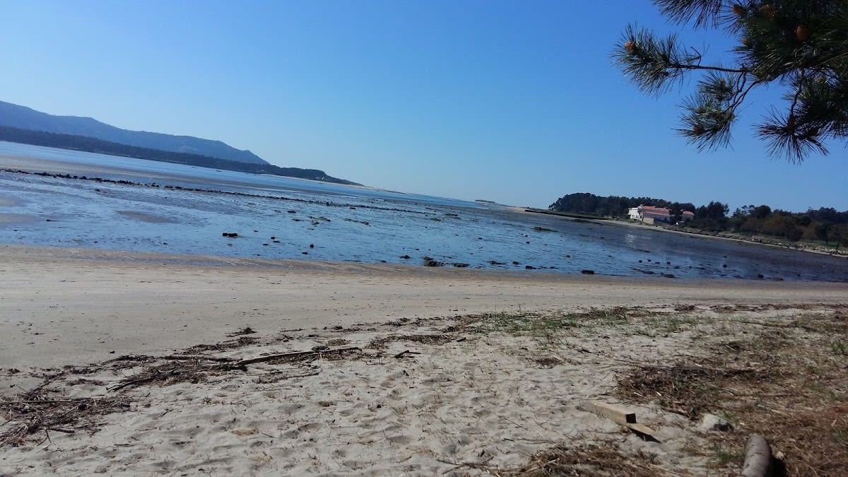 Club de tenis Codesal - Natacion en A Guarda