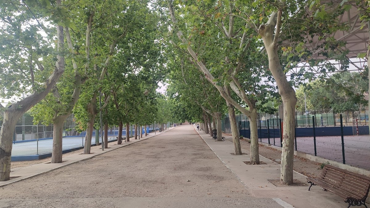 Escuelas de Gimnasia - FĂștbol en Toledo