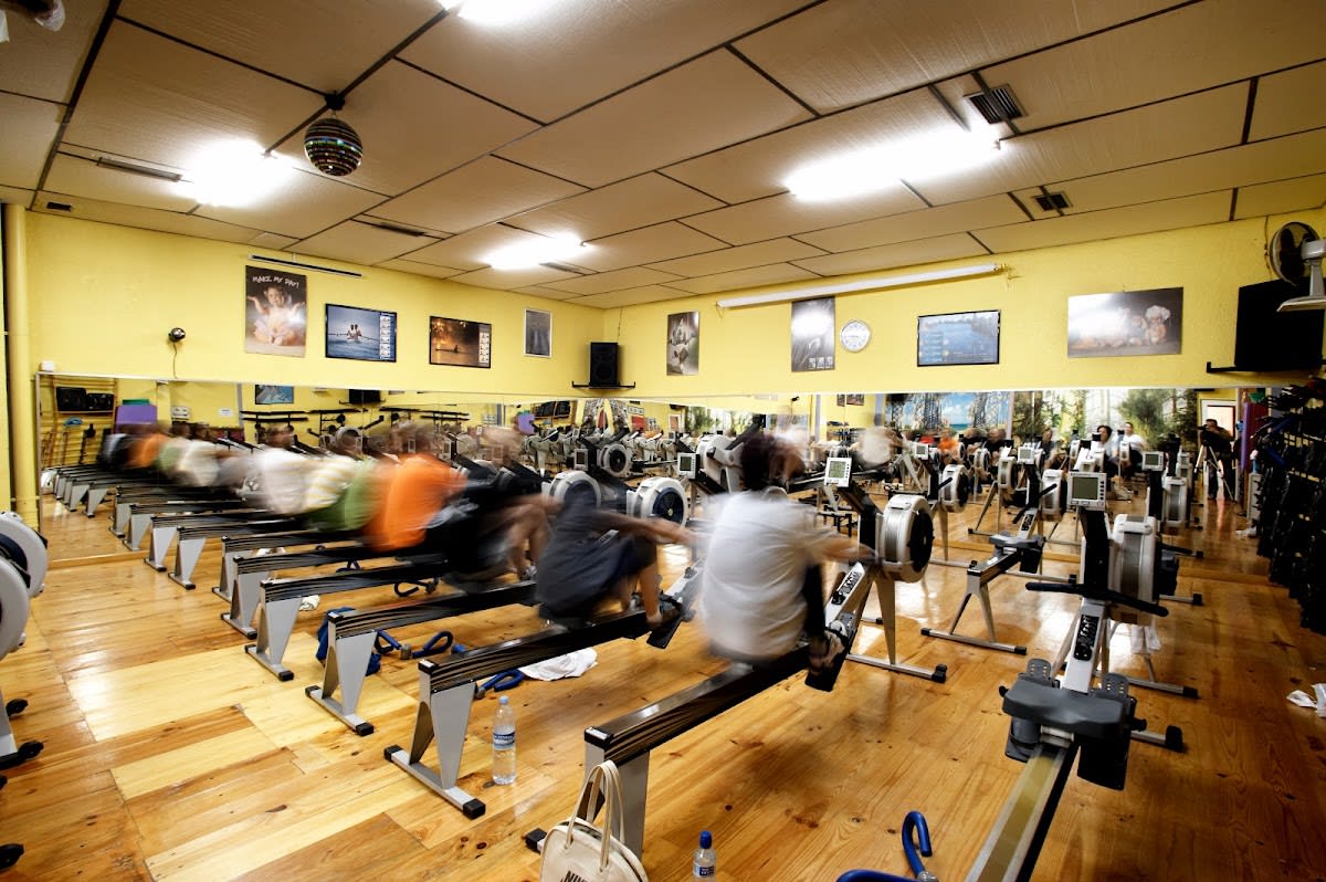 Gimnasio Shotokan Novelda | Gimnasio en Novelda, Karate en Novelda y Gimnasia en Novelda - Karate en Novelda