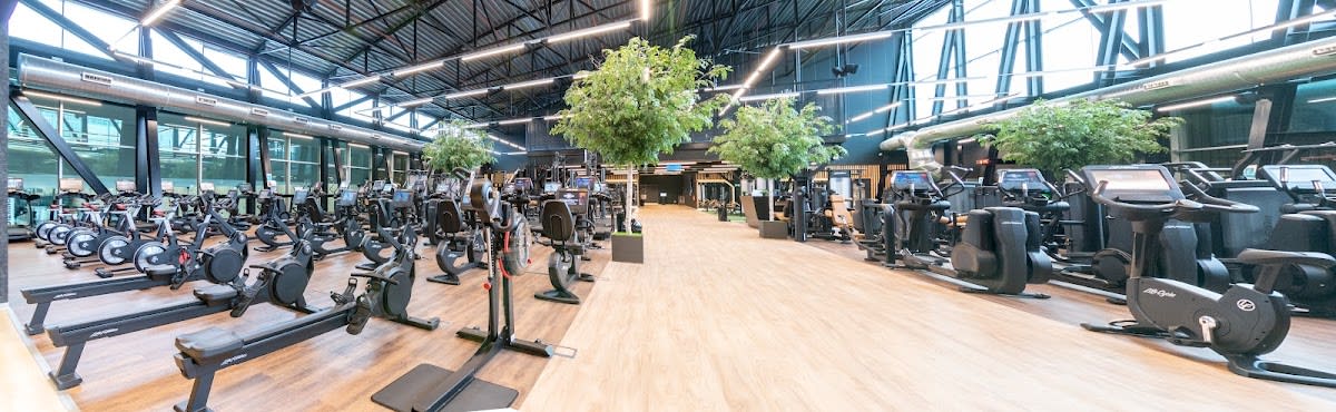 beUp BEC - Natacion en San Vicente de Barakaldo