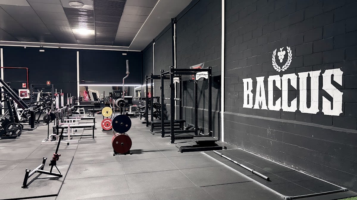 Baccus Gym Club - Gimnasia a Logroño