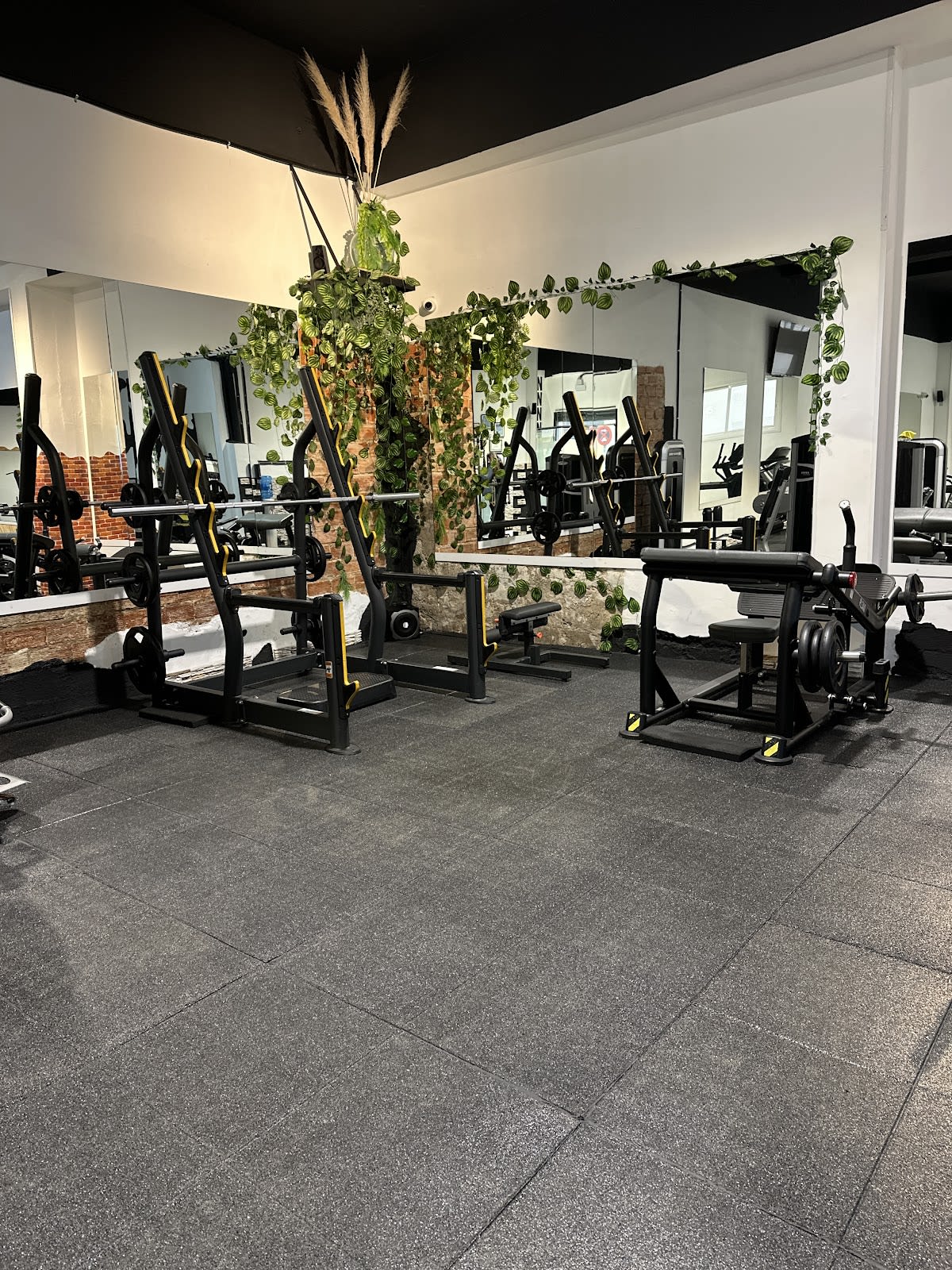 Gimnasio personalizado Sala 45' - Gimnasia in Zaragoza