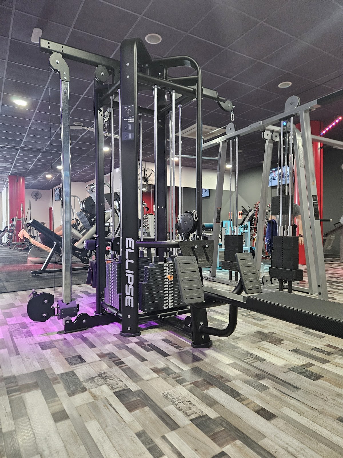 GIMNAS CAMPILLO SPORT - CLUB ESPORTIU MOLLERUSSA - Boxeo en Mollerussa