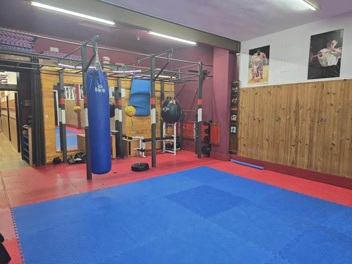 Tadaima Dojo Escola D'arts Marcials - Judo en Figueres
