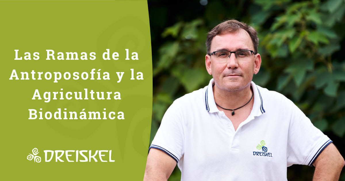 Academia Biodinámica Dreiskel - Gimnasia a Ulldecona