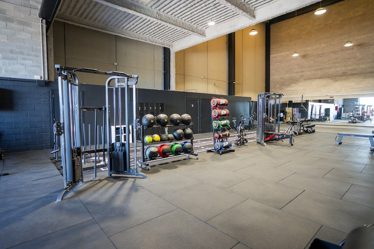 Gym Bayer - Gimnasia a Ripollet