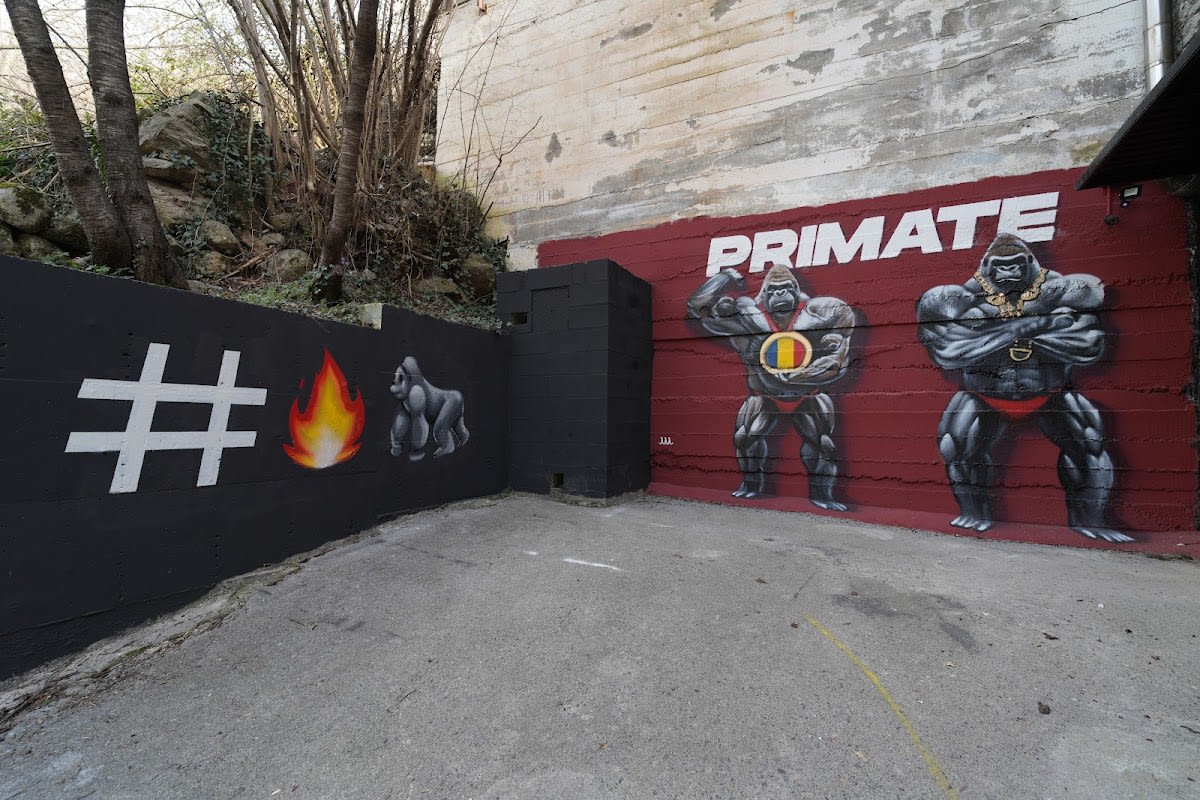 Primate Strength and Gymnastics - Gimnasia em Andorra la Vella