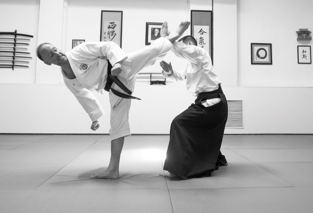 Dojo Zentrum. Escuela de Artes Marciales y Salud - Judo en Madrid