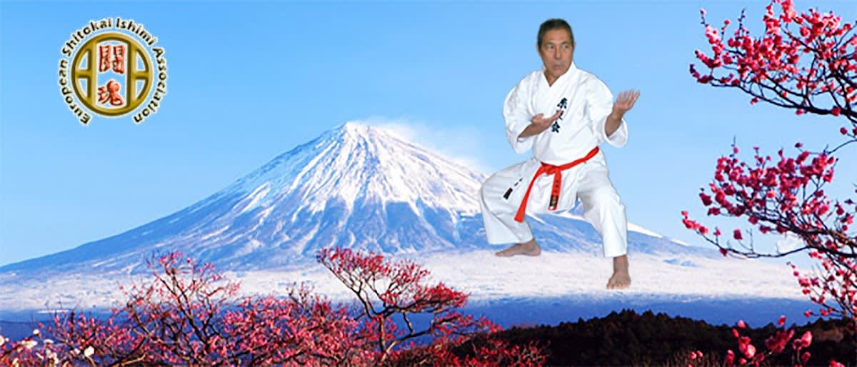European Shitokai Ishimi Association - Karate en Madrid