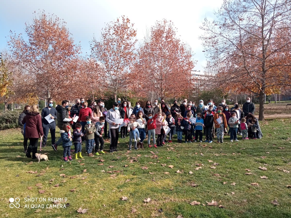 Dojo Nakayama - Judo en Granada