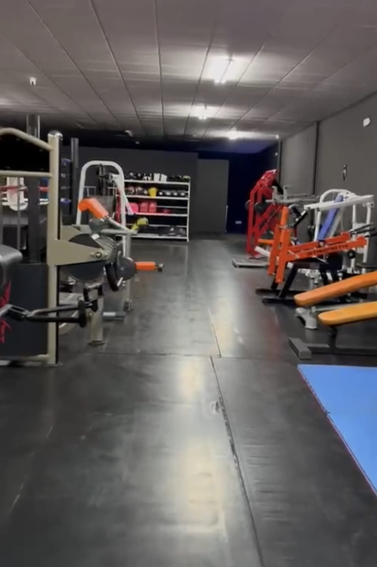 THE JUNGLE GYM - Boxeo en Pedro Muñoz