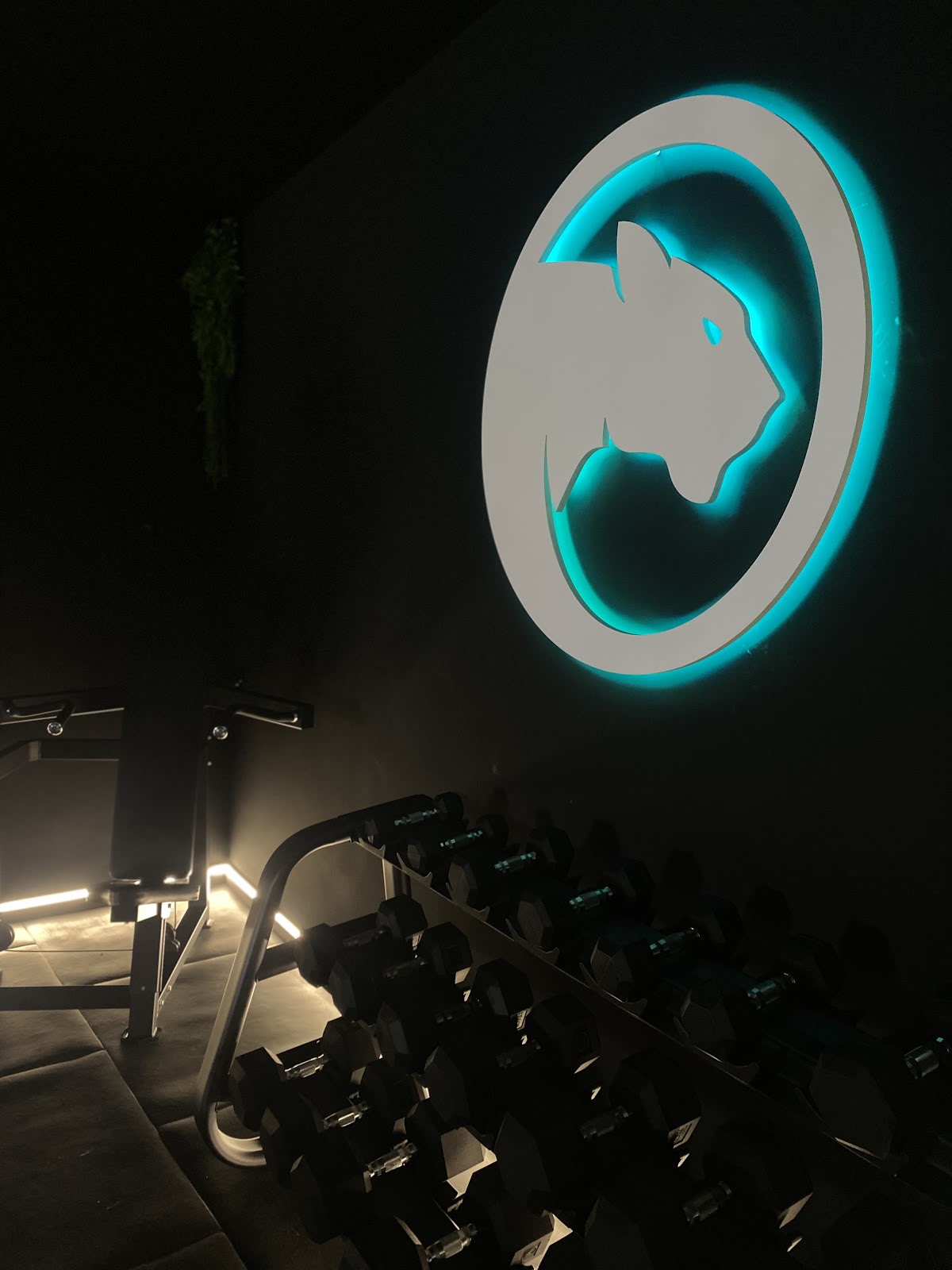 Panthera Evolution - Boxeo en Talavera la Real