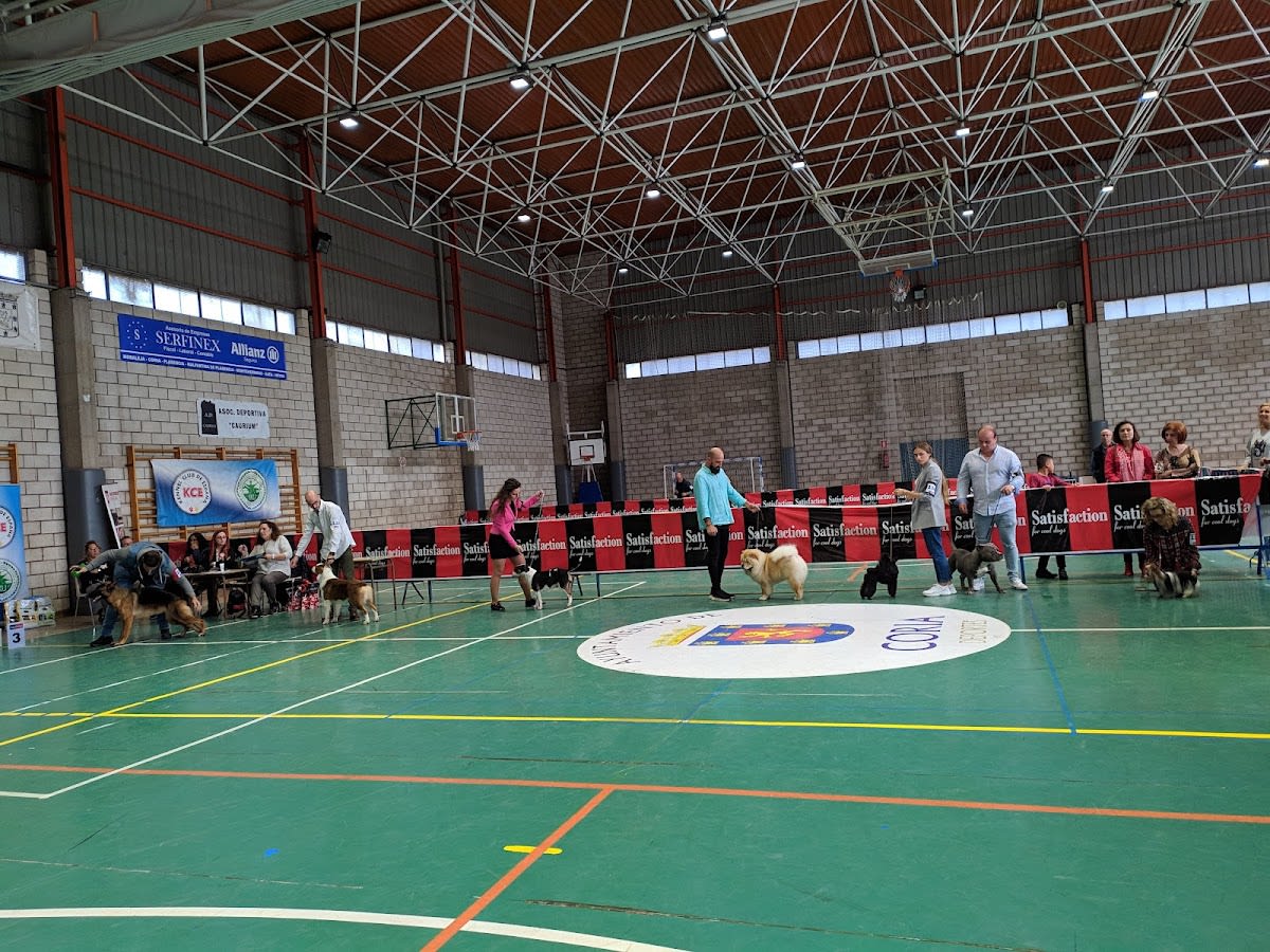 Coria Sports Pavilion - Gimnasia a Coria