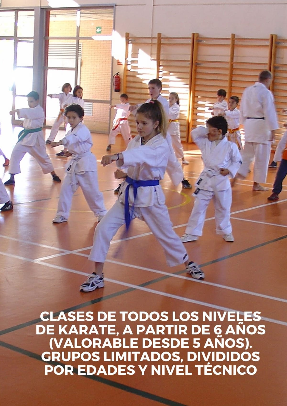 Club Karate Shotokan Pedreguer - Karate en Pedreguer