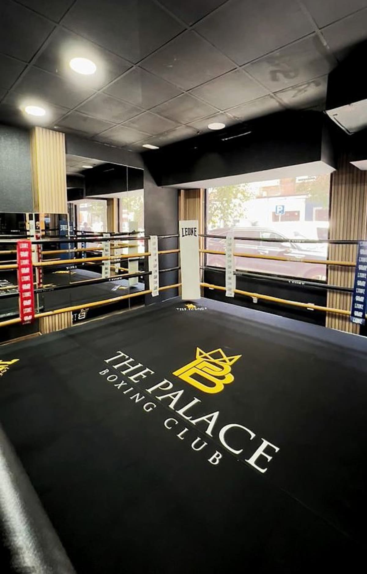 The Palace Boxing club - Boxeo in Madrid